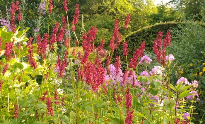 Crescent Border at Veddw